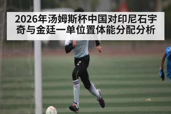 2026年汤姆斯杯中国对印尼石宇奇与金廷一单位置体能分配分析